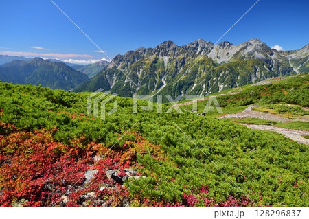 蝶ヶ岳から望む穂高連峰と槍ヶ岳 128296837