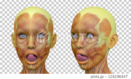 女性の顔アップ 128296847