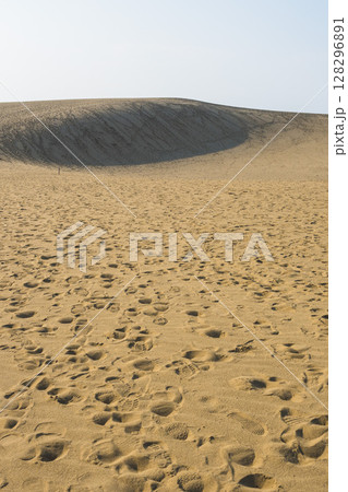 夏の鳥取砂丘の風景 鳥取県 鳥取砂丘 128296891