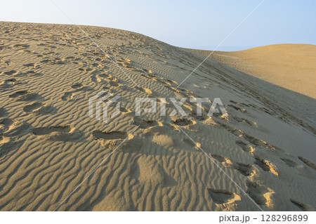 夏の鳥取砂丘の風景 鳥取県 鳥取砂丘 128296899