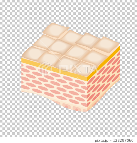 乾燥した肌断面図　イラスト 128297060