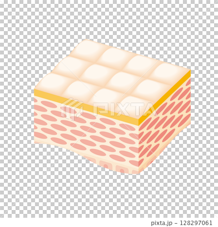 Healthy skin cross section illustration 128297061