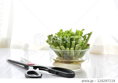 エコ リサイクル フードロス 水に浸して育てる大根の葉 128297119