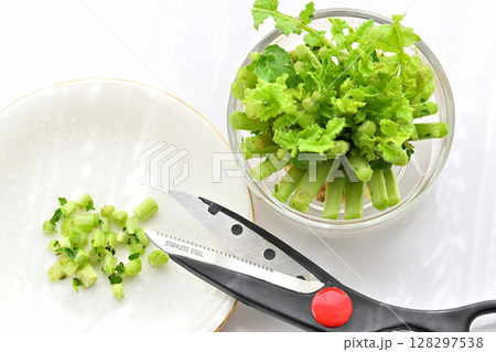 エコ リサイクル フードロス 水に浸して育てる大根の葉 エコ リサイクル フードロス 水に浸して育てる大根の葉 128297538