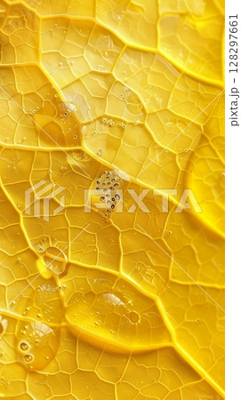 Focused closeup macro on stomata leaf yellow chlorophyll and vein organic nature background Focused closeup macro on stomata leaf yellow chlorophyll and vein organic nature background 128297661
