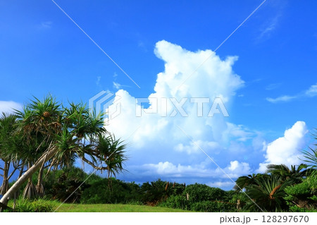 名護湾 青空と入道雲 名護湾 青空と入道雲 128297670