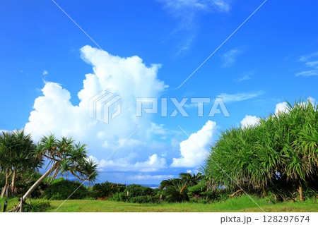 名護湾 青空と入道雲 名護湾 青空と入道雲 128297674