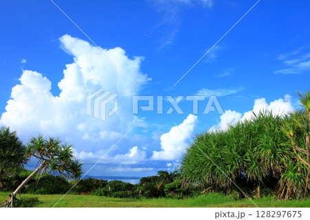 名護湾 青空と入道雲 名護湾 青空と入道雲 128297675