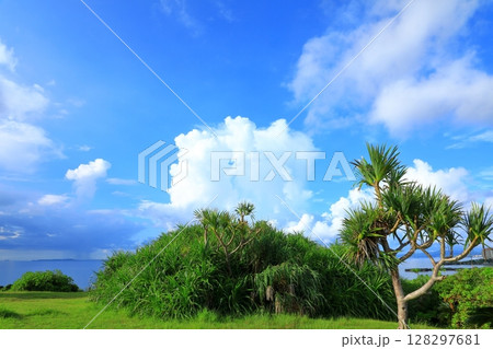 名護湾　青空と入道雲 128297681