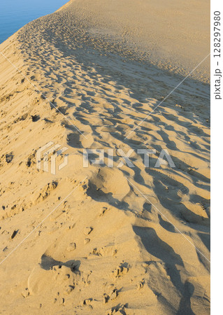 夏の鳥取砂丘とその紋様 鳥取県 鳥取砂丘 128297980