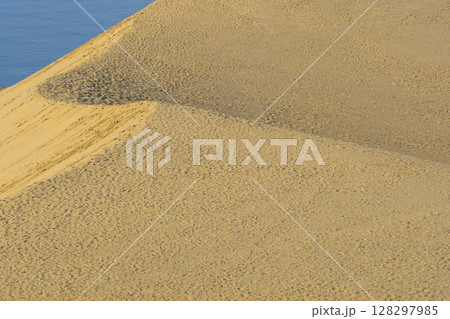 夏の鳥取砂丘とその紋様 鳥取県 鳥取砂丘 128297985