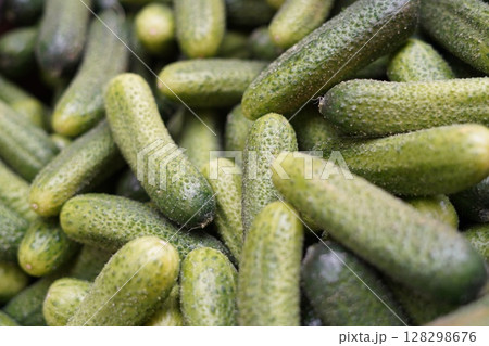 ガーキン 128298676