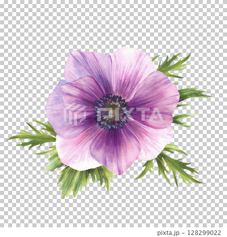 Anemone watercolor purple blue flower with green leaves. pink and blue soft bud floral clipart. Isolated on white background illustration. Realistic painted sketch for greeting card, packaging design. Anemone watercolor purple blue flower with green leaves. pink and blue soft bud floral clipart. Isolated on white background illustration. Realistic painted sketch for greeting card, packaging design. 128299022