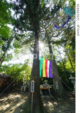 七夕祭り　奈良県葛城市　棚機神社　　 128299838
