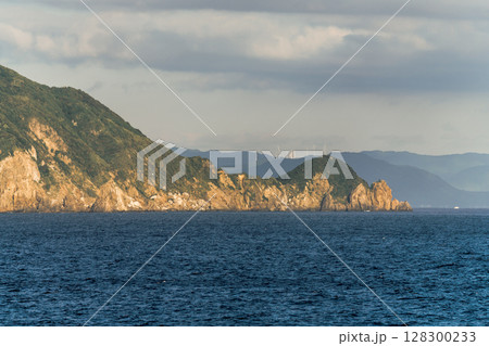【東京九州フェリーはまゆう新門司行　高知県沖を航行　鵜来島】 128300233