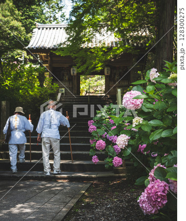 【第八番札所】熊谷寺のアジサイ【四国八十八箇所】 【第八番札所】熊谷寺のアジサイ【四国八十八箇所】 128300275