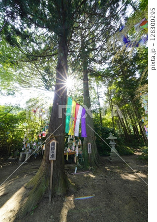 七夕祭り　奈良県葛城市　棚機神社　　 128300295