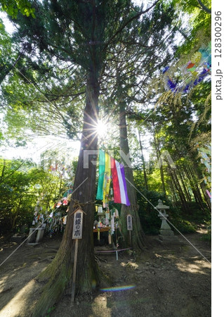 七夕祭り　奈良県葛城市　棚機神社　　 128300296