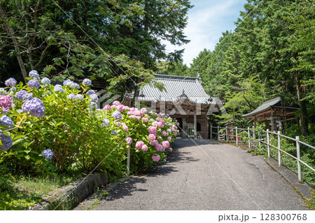 【第八番札所】紫陽花が咲く熊谷寺　本堂【四国八十八箇所】 128300768