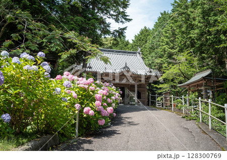 【第八番札所】紫陽花が咲く熊谷寺 本堂【四国八十八箇所】 【第八番札所】紫陽花が咲く熊谷寺 本堂【四国八十八箇所】 128300769