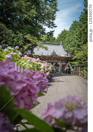 【第八番札所】紫陽花が咲く熊谷寺 本堂【四国八十八箇所】 【第八番札所】紫陽花が咲く熊谷寺 本堂【四国八十八箇所】 128300770