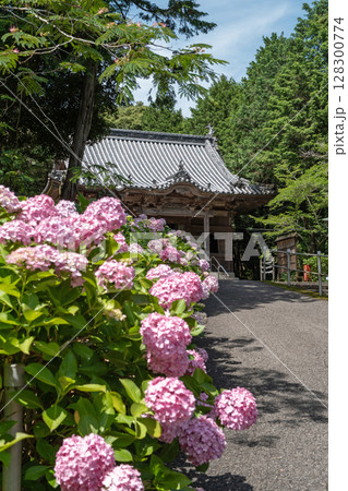 【第八番札所】紫陽花が咲く熊谷寺　本堂【四国八十八箇所】 128300774
