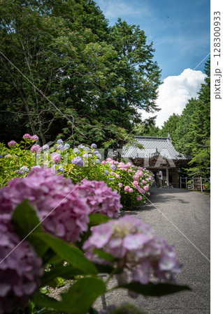 【第八番札所】紫陽花が咲く熊谷寺　本堂【四国八十八箇所】 128300933