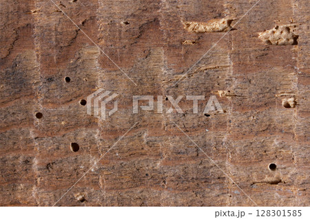 Close-up of textured wood surface with grain and holes. Close-up of textured wood surface with grain and holes. 128301585