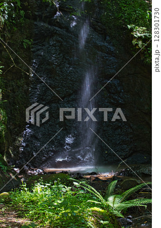 新緑のひづめの滝 128301730
