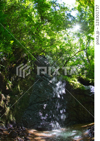新緑のひづめの滝 128301737
