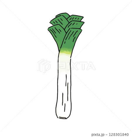 リーキ リーキ 128301840