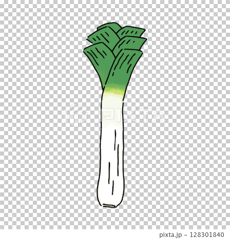 リーキ リーキ 128301840