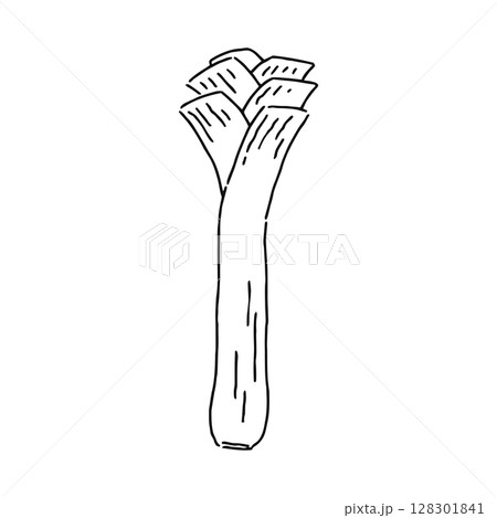 リーキ　線画 128301841