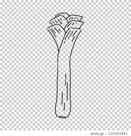 リーキ　線画 128301841