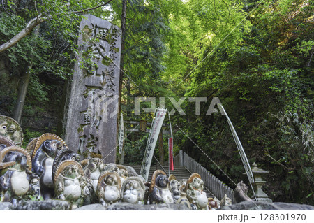 狸谷山不動院　参道入口　石柱　信楽焼の狸の置物（京都市左京区一乗寺） 128301970