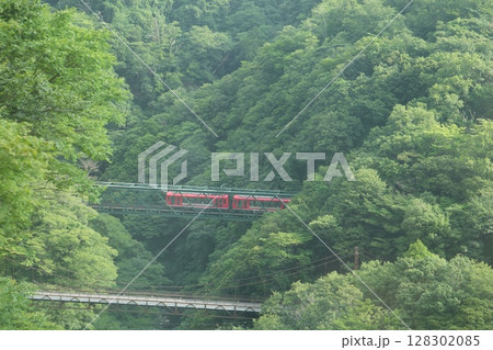 新緑の渓谷を走る箱根登山電車 新緑の渓谷を走る箱根登山電車 128302085