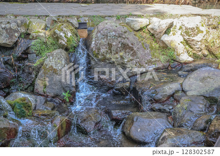March 26 2025 Water Flowing Over Rocks in a Peaceful Forest Stream Setting, Japan 128302587