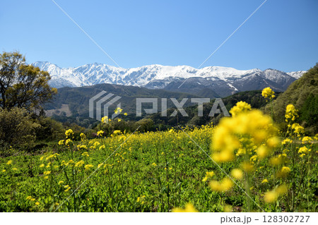 野平集落から北アルプスを望む　【長野県白馬村】 128302727