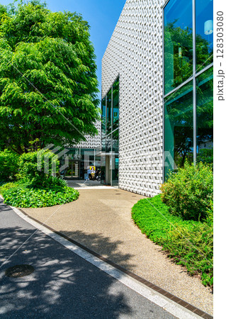 【東京都】初夏の新緑が綺麗な代官山T-SITE 【東京都】初夏の新緑が綺麗な代官山T-SITE 128303080