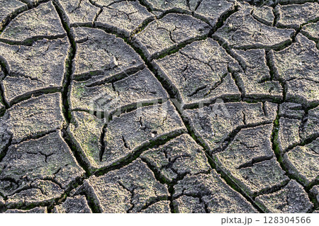 Dry cracked earth showing signs of drought and lack of moisture in a barren landscape during daylight hours Dry cracked earth showing signs of drought and lack of moisture in a barren landscape during daylight hours 128304566