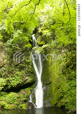 東京都大岳山海沢探勝路　大滝 128304683