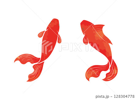 シンプルな水彩タッチの赤い金魚のイラスト 128304778