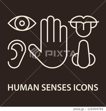 Five senses icon set. Taste, sight, touch, smell, hearing symbols. 128304785