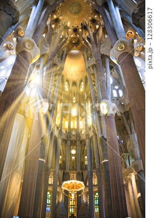 バルセロナのサグラダ・ファミリア聖堂・豪華絢爛内部 128306617