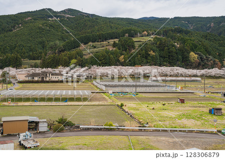 島田市川根町の天王山公園から見た風景(静岡県) 128306879