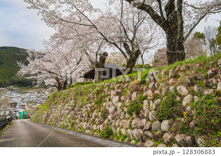 島田市川根町の天王山公園の風景(静岡県) 128306883