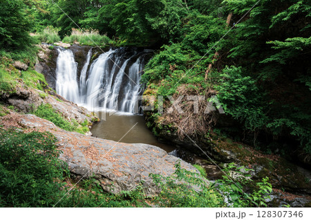 多留姫の滝　多段の滝　夏の滝 128307346