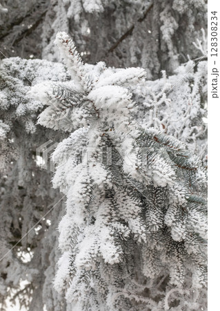 Winter landscape background Winter landscape background 128308234