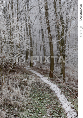 Winter landscape background 128308236