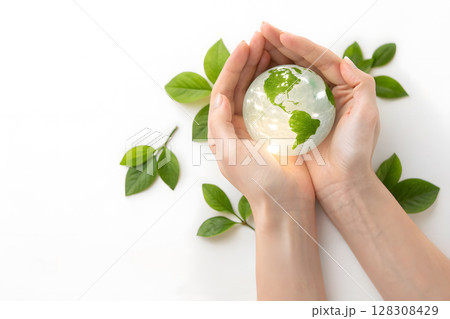Hands holding a globe surrounded by green leaves promoting environmental awareness 128308429